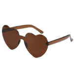 fashionable sunglasses brown